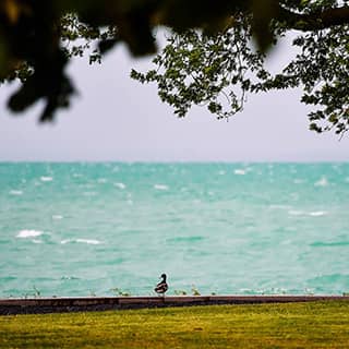 Balaton part